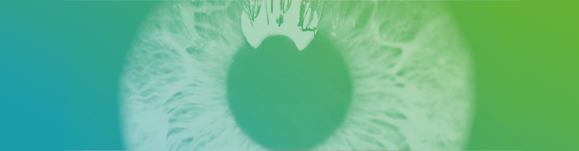 Close-up-eye